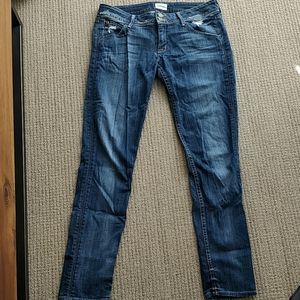 Hudson jeans size 29